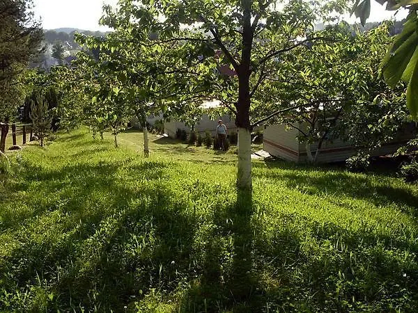 Czeresniowy Sad Wisełka